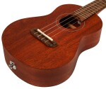 Takamine EGU-C1