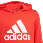 Dětská mikina Essentials Big Logo Hoodie Jr GN4037 - Adidas 122cm