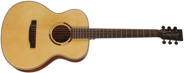 Tanglewood TS3