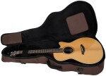 Furch Green Gc-TR CNR Active 2026