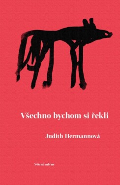 Všechno bychom si řekli - Judith Hermann