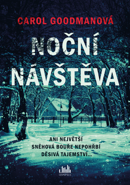 Noční návštěva - Carol Goodman