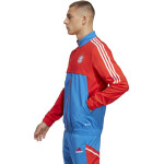 Pánská bunda FC Bayern Pro HU1274 Adidas