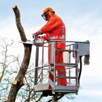 Motorová pila STIHL MS 201 TC-M