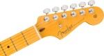 Fender American Professional Stratocaster HSS MN OWT