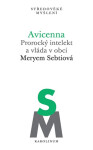 Avicenna - Meryem Sebtiová