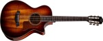 Taylor K22ce 12-Fret Special Edition Next Generation