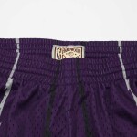Mitchell & Ness Pánské kraťasy Toronto Raptors NBA 1998-99 Swingman Shorts - Fialová Velikost: L