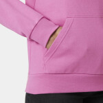 Helly Hansen Core Graphic Hoodie W 54239 089 L