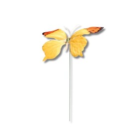 Dortisimo Zápich do dortu Motýl žluto-oranžový