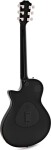 Taylor T5z Pro Grapevine