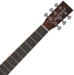 Tanglewood TC8