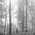 Lp Taylor Swift - Folklore - Taylor Swift