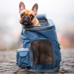 Alley šedý batoh pro psa do 10 kg Barva: Šedá, Dle váhy psa: do 6 kg