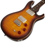 PRS SE DGT Birds Mccarty Tobacco Sunburst 2026