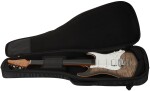 Suhr Standard Plus TCB RMN HSS