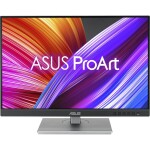 Asus PA248CNV