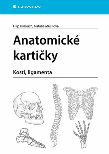 Anatomické kartičky - Kolouch Filip, Musilová Natálie