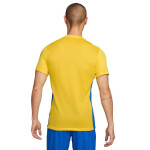 Tričko Nike Dri-FIT Park Derby IV FD7430-720 cm)