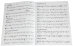 MS The Original Sevcik Violin Studies: School Of Bowing Technique Part