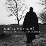 Umřel stromě