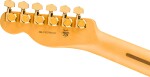 Fender 75th Anniversary American Professional Custom Telecaster MN 2CS