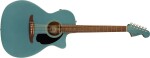 Fender Newporter Player WN TPL