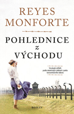 Pohlednice z východu - Reyes Monforte
