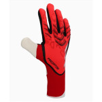 Brankářské rukavice adidas Predator Pro M IW6276 9