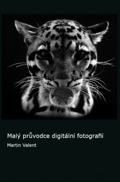 Malý průvodce digitální fotografií - Martin Valent
