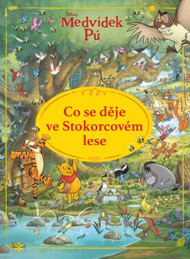 Medvídek Pú - Co se děje ve Stokorcovém lese? - kolektiv autorů