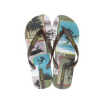 Žabky Ipanema Summer V W 83623AY930 43.5