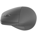 Logitech Wireless M650 L bílá / bezdrátová myš / 2.4 GHz / Bluetooth / 1x AA (910-006238)