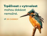 Magnet na lednici &quot;Trpělivost a vytrvalost&quot; - Sri Chinmoy