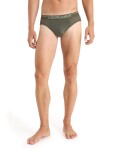 Pánské slipy ICEBREAKER Mens Anatomica Briefs, Loden velikost: M