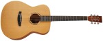 Tanglewood TR 3