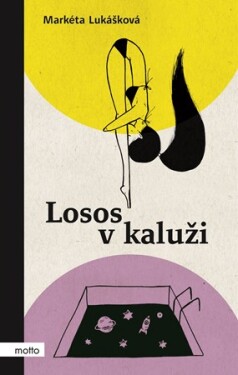 Losos v kaluži | Markéta Lukášková