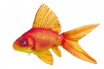 Gaby Polštář Zlatá rybka 60 cm,Gaby Polštář Zlatá rybka 60 cm
