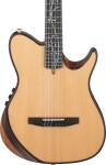 Ibanez TOD100N NT