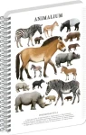NOTIQUE Animalium – Lichokopytníci / Spirálový blok / A4 / čtverečkovaný