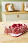 ROTHO Organizér do ledničky CAUMA box 2,6 L