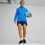 Mikina Puma Team Goal Casuals Hoody W 658621 02 L