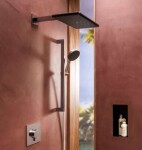 HANSGROHE - Raindance Alive Q Hlavová sprcha, 21x34 cm, EcoSmart, chrom 24531000