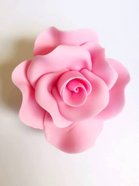 Dortisimo Cukrová růže velká růžová (9 ks)