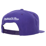 Mitchell & Ness Pánská kšiltovka Los Angeles Lakers NBA Team Ground 2.0 Snapback