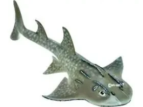 Collecta Kytarovec křivoústý