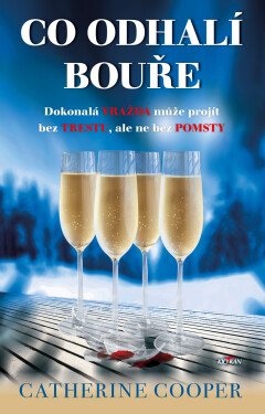 Co odhalí bouře - Catherine Cooper