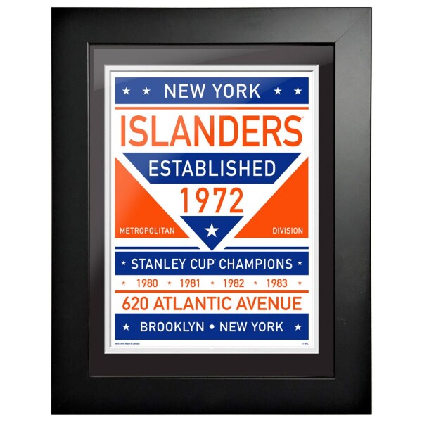 Mustang Obraz v rámu New York Islanders NHL 12 x 16 Dual Tone d