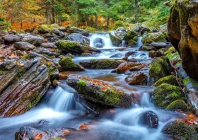 ENJOY Puzzle Lesní říčka na podzim