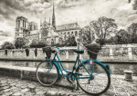 Puzzle Kolo u Notre-Dame 500 dílků